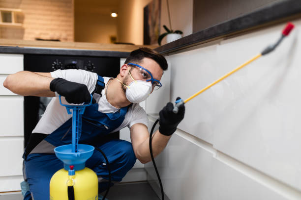 Best Termite Control Services  in Springtown, TX