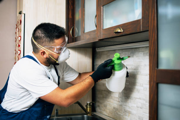 Trusted Springtown, TX Pest Control Experts