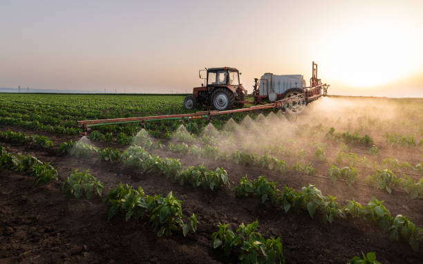Best Pest Inspection Near Me  in Springtown, TX
