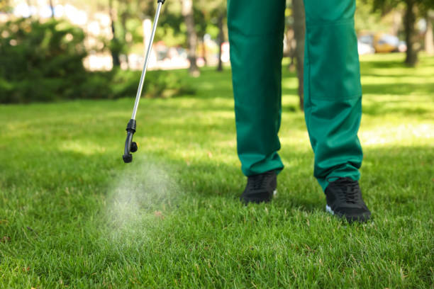 Best Mosquito Control Services  in Springtown, TX