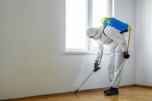 Best Affordable Pest Control Services  in Springtown, TX