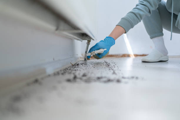 Best Cockroach Control Services  in Springtown, TX