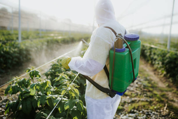 Pest Control for Restaurants in Springtown, TX